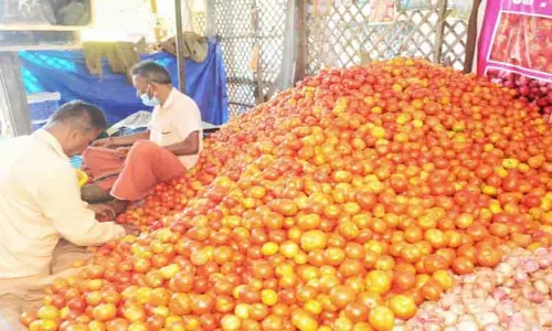 தக்காளி விலை கிடுகிடுவென உயர்வு