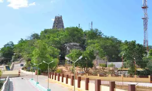 விராலிமலை முருகன் கோவிலில் தரிசன முறையில் மாற்றம்