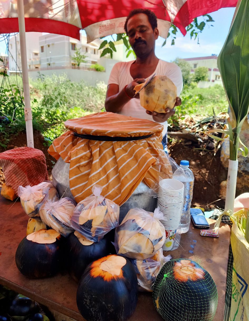 Sale of palm fruit தேனியில் நுங்கு, பதனீரை தொடர்ந்து பனம்பழம் விற்பனை