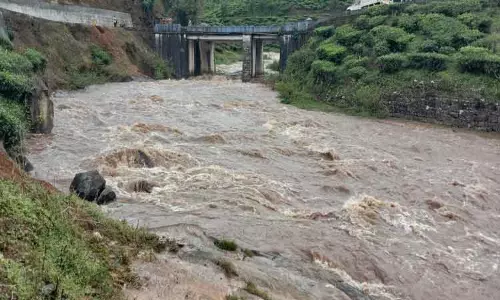 வால்பாறையில் கன மழை;ஆறுகளில் வெள்ளப்பெருக்கு  சாலையில் மரம் முறிந்து விழுந்து போக்குவரத்து பாதிப்பு