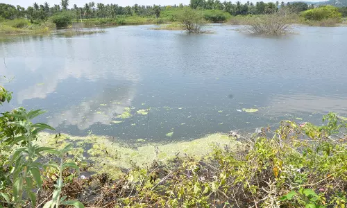 17 ஆண்டுகளுக்கு பிறகு நிரம்பிய எம்.சி.பள்ளி ஏரி 17 ஆண்டுகளுக்கு பிறகு நிரம்பிய எம்.சி.பள்ளி ஏரி