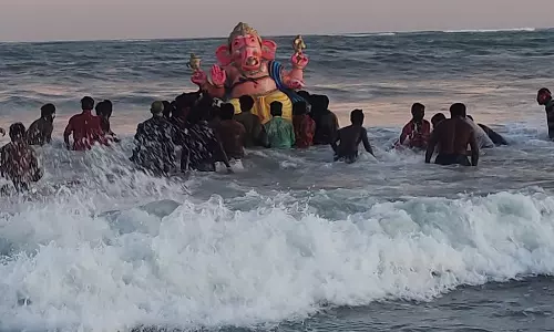 மாவட்டத்தில் பல்வேறு இடங்களில்  விநாயகர் சிலைகள் ஊர்வலம்  கடல்-ஆற்றில் கரைக்கப்பட்டன