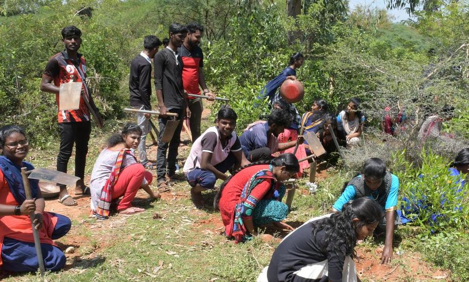 Planting of 10 thousand palm seeds 10 ஆயிரம் பனை விதைகள் விதைக்கும் பணி