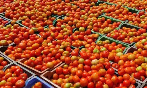 சென்னையில் தக்காளி விலை கிடுகிடு உயர்வு: இல்லத்தரசிகள் அதிர்ச்சி