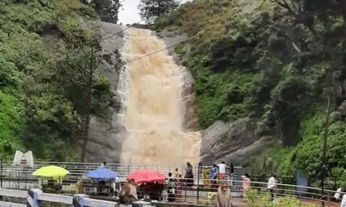கொடைக்கானலில் கொட்டி தீர்த்த கனமழை - அருவிகளில் வெள்ளப்பெருக்கு கொடைக்கானலில் கொட்டி தீர்த்த கனமழை - அருவிகளில் வெள்ளப்பெருக்கு
