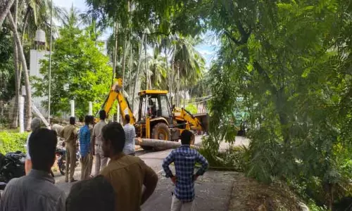 ஆனைமலையில் பலத்த காற்றுடன் மழை: மரம் முறிந்து நடுரோட்டில் விழுந்தது-போக்குவரத்து பாதிப்பு ஆனைமலையில் பலத்த காற்றுடன் மழை: மரம் முறிந்து நடுரோட்டில் விழுந்தது-போக்குவரத்து பாதிப்பு