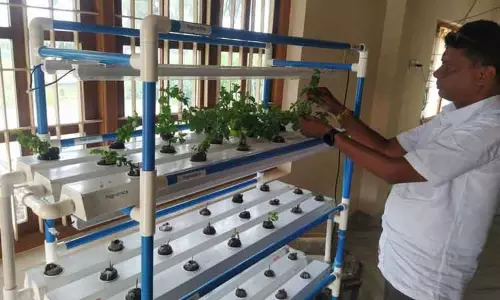 உரம், தண்ணீர் செலவு குறைவு:  தென்னை நார் துகள்களில் காய்கறி சாகுபடி-தேசிய கூட்டமைப்பு தலைவர் தகவல்