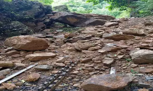 நீலகிரி மாவட்டத்தில் பலத்த மழை:  மேட்டுப்பாளையம் -ஊட்டி மலை ரெயில் பாதையில் மண்சரிவு  ரெயில் சேவை ரத்தானதால் சுற்றுலா பயணிகள் ஏமாற்றம்