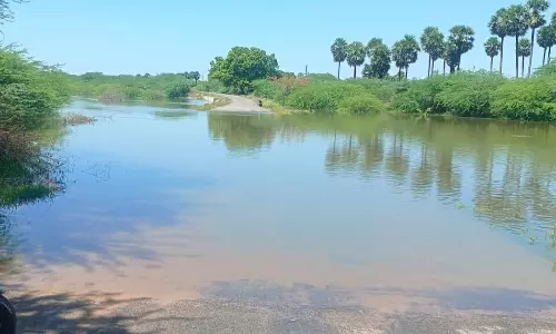பழையனூர் அருேக தரைப்பாலம் தண்ணீரில் மூழ்கியது பழையனூர் அருேக தரைப்பாலம் தண்ணீரில் மூழ்கியது