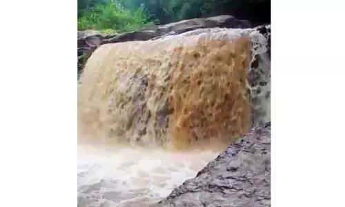 பச்சமலை பகுதியில் 60 மி.மீ. மழை அளவு பதிவு பச்சமலை பகுதியில் 60 மி.மீ. மழை அளவு பதிவு