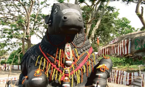 பஞ்ச நந்திகள் பஞ்ச நந்திகள்