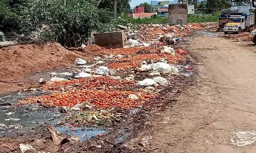 குவிந்து கிடக்கும் காய்கறி கழிவுகள்