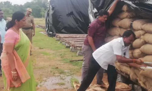 நெல் மூட்டைகளை கலெக்டர் சாந்தி ஆய்வு நெல் மூட்டைகளை கலெக்டர் சாந்தி ஆய்வு