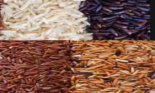 50 சதவீத மானியத்தில் பாரம்பரிய நெல் ரகங்கள்