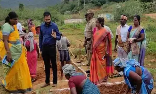 கடையநல்லூர் யூனியன் பகுதியில் கலெக்டர் ஆகாஷ் ஆய்வு