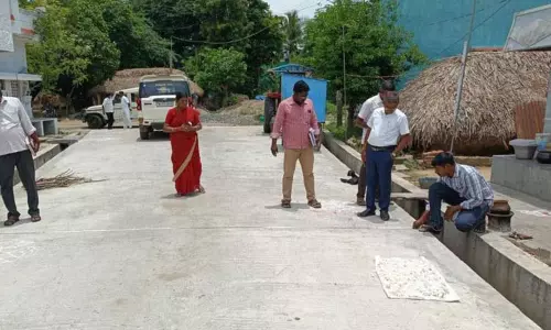 தியாகதுருகம் ஒன்றியத்தில்  வளர்ச்சி திட்ட பணிகளை திட்ட அதிகாரி ஆய்வு