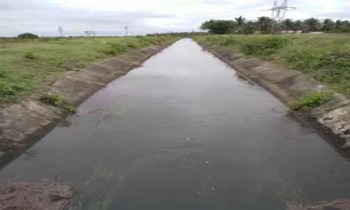 செட்டியக்காபாளையம் கிளை வாய்க்காலில் தண்ணீர் திறப்பு செட்டியக்காபாளையம் கிளை வாய்க்காலில் தண்ணீர் திறப்பு