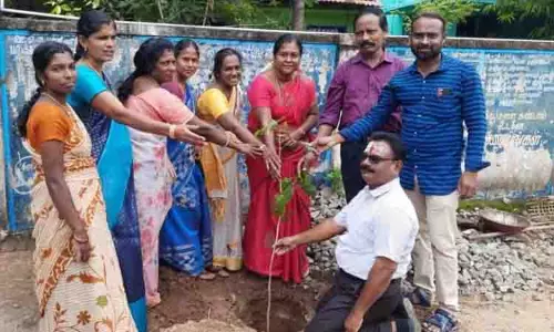 அரசு பள்ளியில் மரக்கன்று நடும் விழா அரசு பள்ளியில் மரக்கன்று நடும் விழா