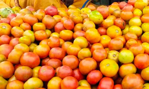 தக்காளி கிலோ ரூ.50-க்கு விற்பனை