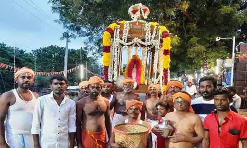 நாராயணசுவாமி கோவில் திருவிழா