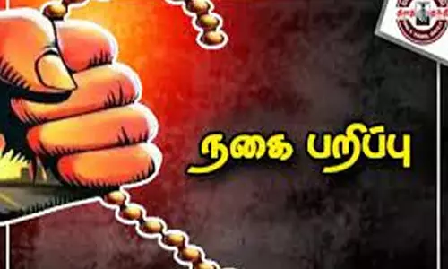 தி.மு.க. மாவட்ட கவுன்சிலர் மனைவியிடம் 12 பவுன் நகை பறிப்பு