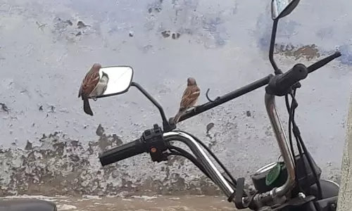 அழகே.... அழகு...நானா இது!!! அழகே.... அழகு...நானா இது!!!