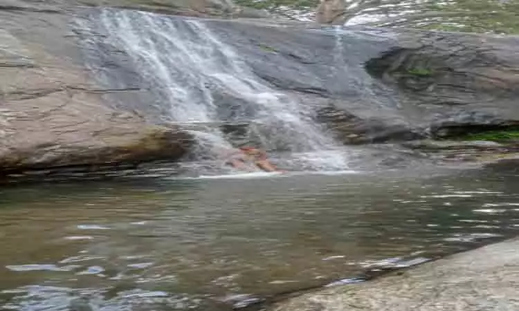 அருவி, கண்மாய்களில் நீர்வரத்து அதிகரிப்பு அருவி, கண்மாய்களில் நீர்வரத்து அதிகரிப்பு