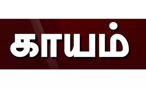 பன்வெலில் விநாயகர் சிலை கரைப்பின் போது மின்சாரம் தாக்கி 9 மாத குழந்தை உள்பட 11 பேர் காயம்