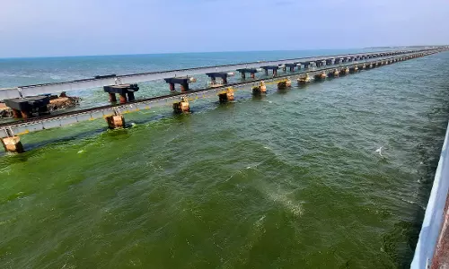 பச்சை நிறமாக மாறிய பாம்பன் கடல் பச்சை நிறமாக மாறிய பாம்பன் கடல்