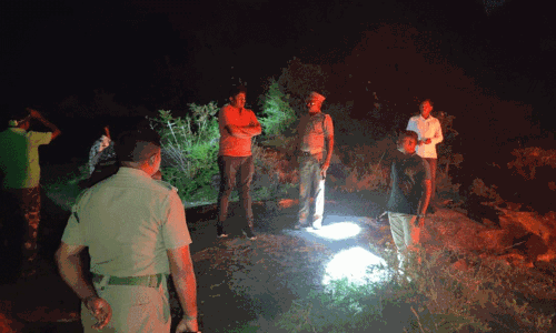 யானை கூட்டத்தை வனத்துறையினர் பட்டாசு வெடித்து விரட்டினர் யானை கூட்டத்தை வனத்துறையினர் பட்டாசு வெடித்து விரட்டினர்