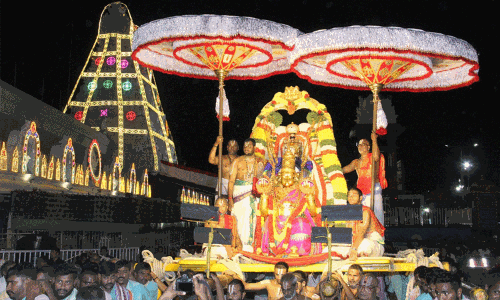 திருமலை கோயிலில் கோலாகலமாக நடைபெற்ற பவுர்ணமி கருட சேவை திருமலை கோயிலில் கோலாகலமாக நடைபெற்ற பவுர்ணமி கருட சேவை