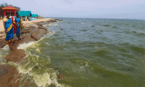 ராமநாதபுரத்தில் கடல் பச்சை நிறமாக மாறியதால் பரபரப்பு ராமநாதபுரத்தில் கடல் பச்சை நிறமாக மாறியதால் பரபரப்பு