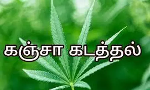 கடந்த 6 மாதத்தில் கஞ்சா விற்ற 36 பேர் சிக்கினர் கடந்த 6 மாதத்தில் கஞ்சா விற்ற 36 பேர் சிக்கினர்