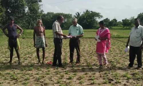 விதைச்சான்று உதவி இயக்குனர் ஆய்வு விதைச்சான்று உதவி இயக்குனர் ஆய்வு