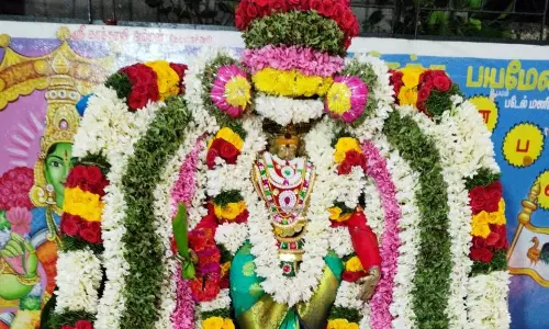 சிறப்பு அலங்காரத்தில் சாமி வீதி உலா சிறப்பு அலங்காரத்தில் சாமி வீதி உலா