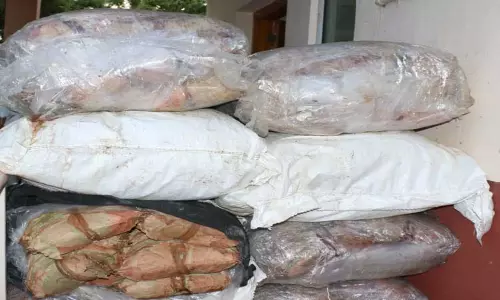 இலங்கைக்கு கடத்த முயன்ற   ரூ.15 லட்சம் பீடி இலை சிக்கியது