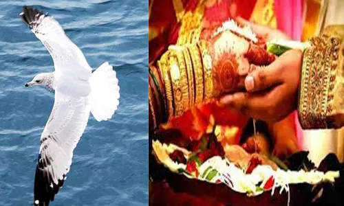 சாது சொன்ன இல்லற ரகசியம் சாது சொன்ன இல்லற ரகசியம்