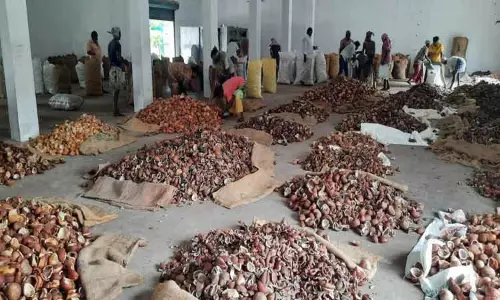 கொப்பரைக்கு கூடுதல் விலை