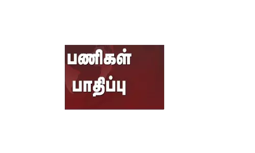 தேனி மாவட்டத்தில் ஊராட்சி செயலர்கள் தொடர் விடுப்பு போராட்டத்தால் பணிகள் பாதிப்பு தேனி மாவட்டத்தில் ஊராட்சி செயலர்கள் தொடர் விடுப்பு போராட்டத்தால் பணிகள் பாதிப்பு