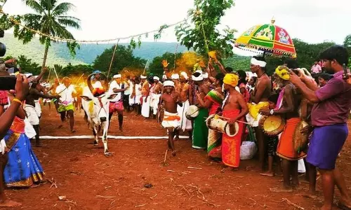 அய்யலூர் அருகே எருது விடும் விழா அய்யலூர் அருகே எருது விடும் விழா