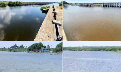 வைகை தண்ணீர் வரத்தால் நிரம்பி வரும் கண்மாய்கள்