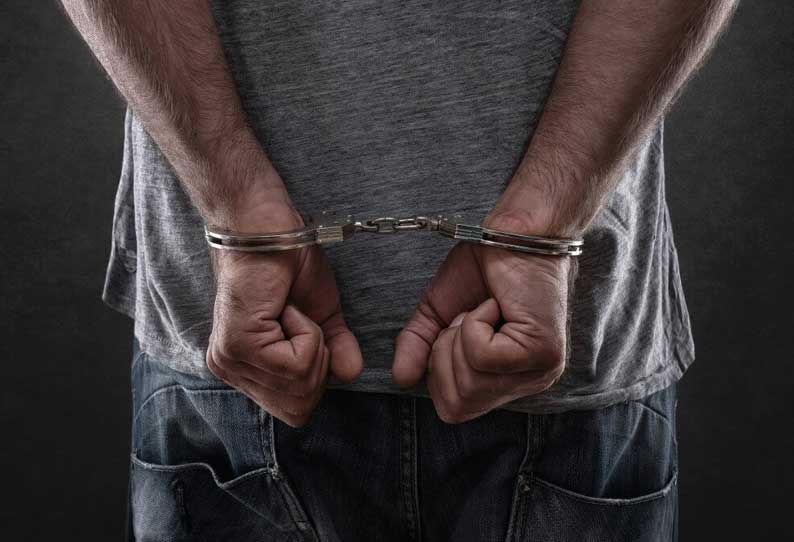 மாநகராட்சி தேர்தலில் டிக்கெட் தருவதாக கூறி பெண் கற்பழிப்பு- நவநிர்மாண் சேனா பிரமுகர் கைது மாநகராட்சி தேர்தலில் டிக்கெட் தருவதாக கூறி பெண் கற்பழிப்பு- நவநிர்மாண் சேனா பிரமுகர் கைது