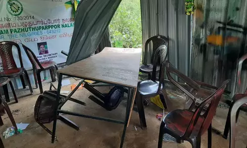 ஊருக்குள் புகுந்த காட்டு யானைகள் ஊருக்குள் புகுந்த காட்டு யானைகள்