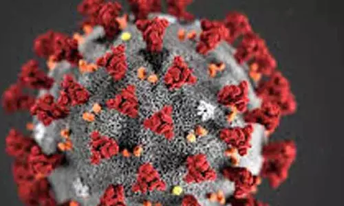 60 பேருக்கு கொரோனா