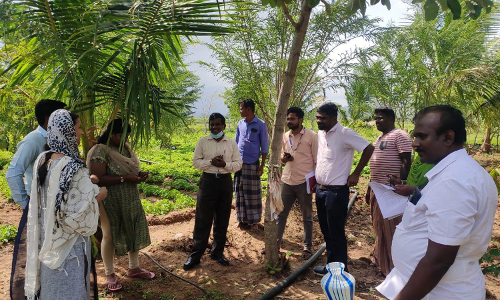 அதிகாரிகள் ஆய்வு