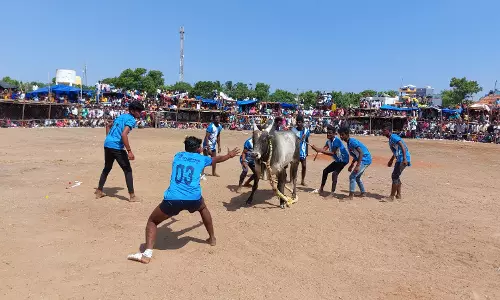 எருதுகட்டு விழா