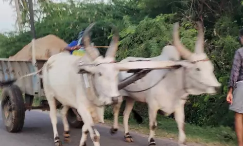 முத்தரசநல்லூரில் மணல் கடத்தலை தடுக்க வேண்டும் முத்தரசநல்லூரில் மணல் கடத்தலை தடுக்க வேண்டும்