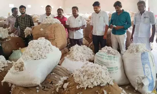 ரூ.45 லட்சத்துக்கு பருத்தி ஏலம் ரூ.45 லட்சத்துக்கு பருத்தி ஏலம்