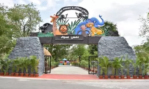 கொரோனா தொற்றால் நிறுத்தி வைக்கப்பட்டிருந்த சிங்கங்களை பார்ப்பதற்கான சவாரி திட்டம் விரைவில் தொடங்கப்படும்- அறிஞர் அண்ணா உயிரியல் பூங்கா