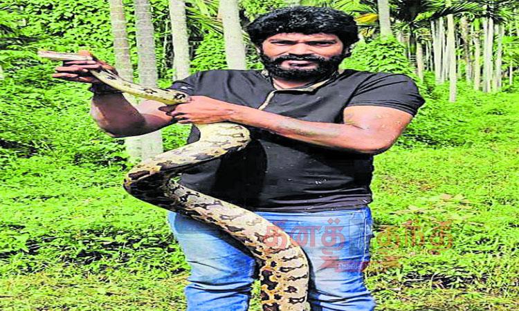 A 7½ feet long python lurking in the bush | புதரில் பதுங்கிய 7½ அடி நீள ...